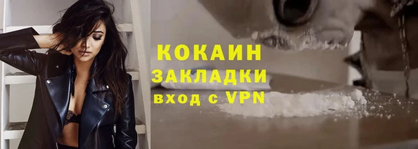 стаф Щёлкино