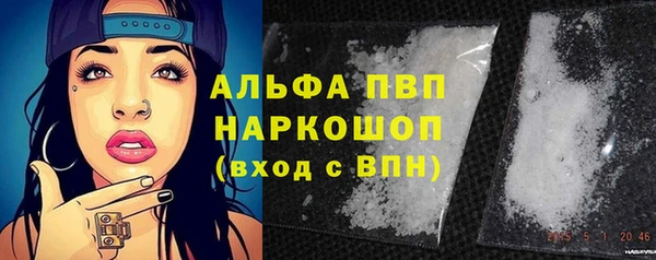 дмт Абаза
