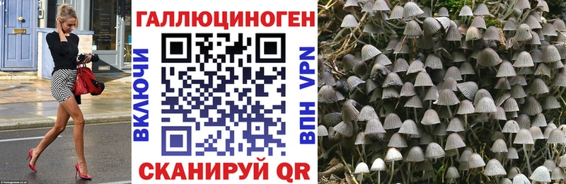 Псилоцибиновые грибы мухоморы Кисловодск