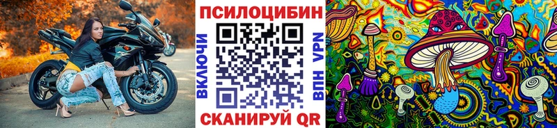 Псилоцибиновые грибы мицелий  Кисловодск 