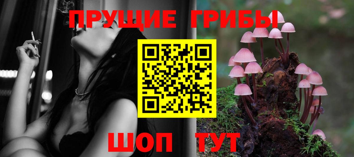 Псилоцибиновые грибы MAGIC MUSHROOMS  Галлюциногенные грибы MAGIC MUSHROOMS  Кисловодск  Вход с VPN 